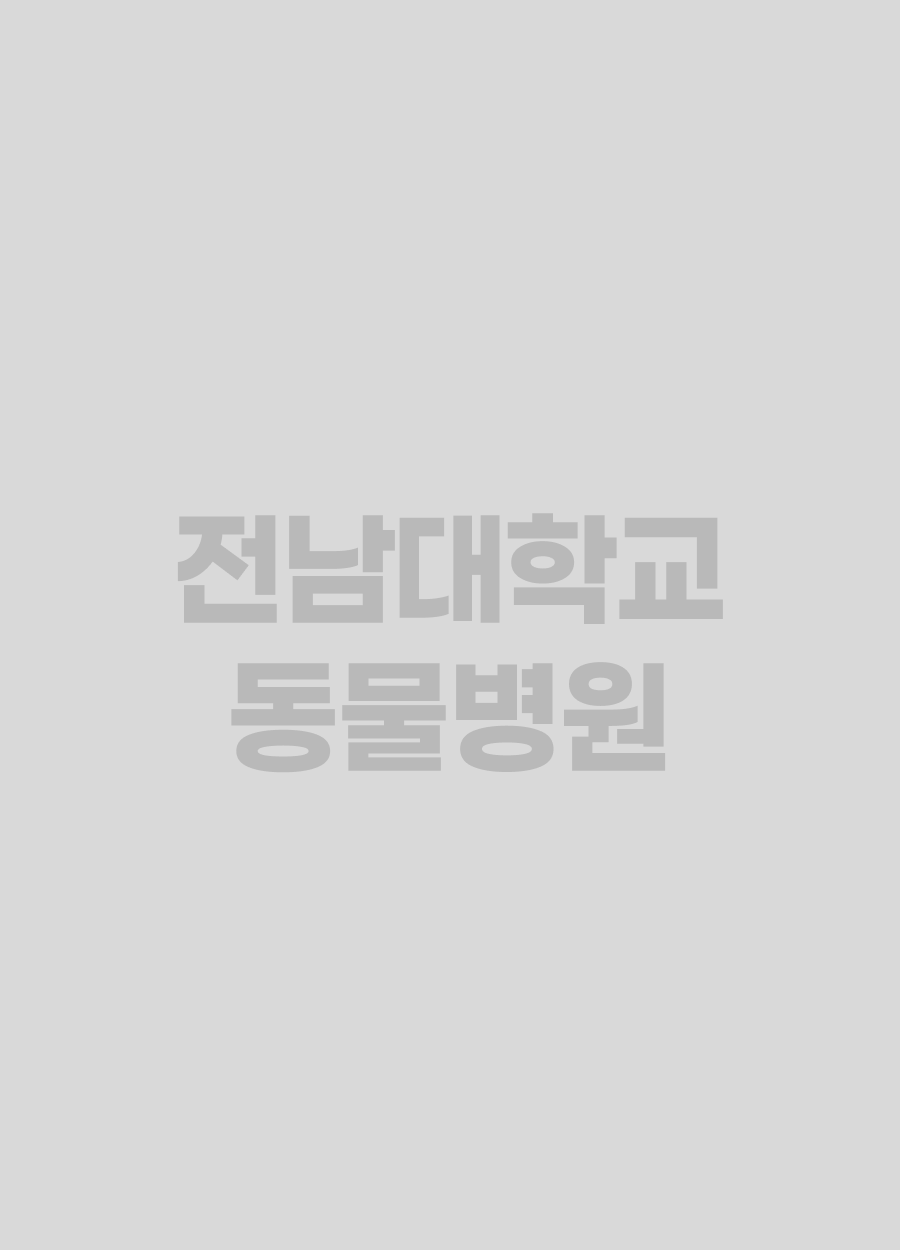 임해린 사진