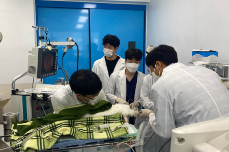 기관지 내시경 시술